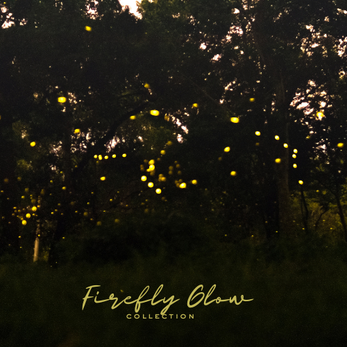 Firefly Glow Collection