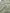 Ellen Khaki Broderie Short Dress