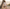 Talia Broderie Dress